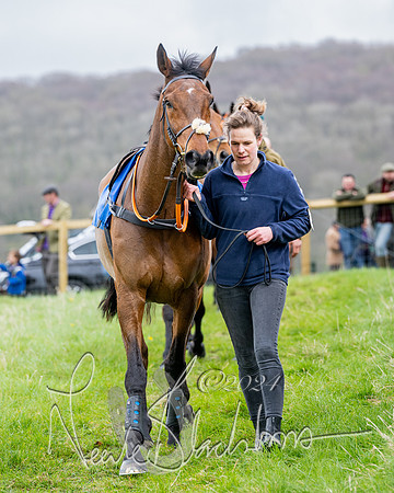 Race 3 - Jockey club ROR Veteran Horse Condidtions  (10 of 118)