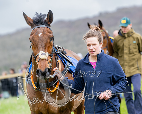 Race 3 - Jockey club ROR Veteran Horse Condidtions  (12 of 118)