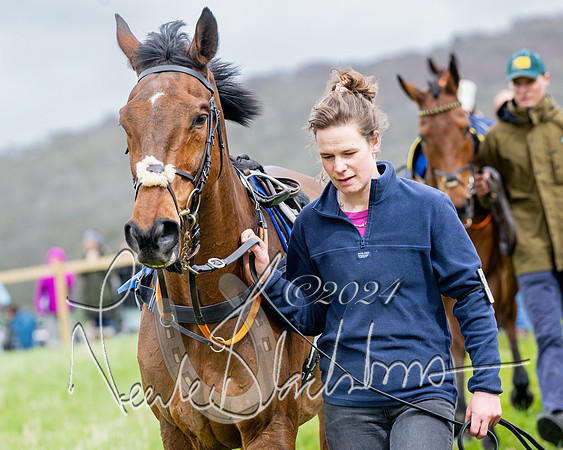 Race 3 - Jockey club ROR Veteran Horse Condidtions  (13 of 118)