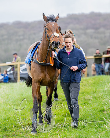 Race 3 - Jockey club ROR Veteran Horse Condidtions  (11 of 118)