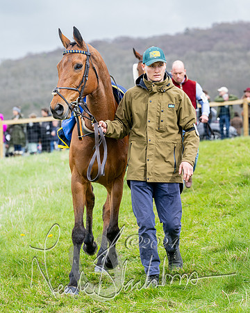 Race 3 - Jockey club ROR Veteran Horse Condidtions  (14 of 118)