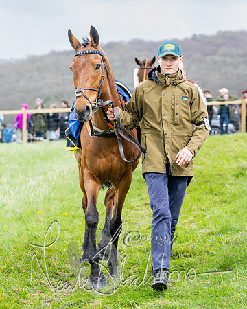 Race 3 - Jockey club ROR Veteran Horse Condidtions  (15 of 118)