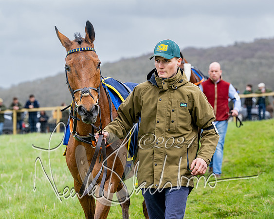 Race 3 - Jockey club ROR Veteran Horse Condidtions  (16 of 118)
