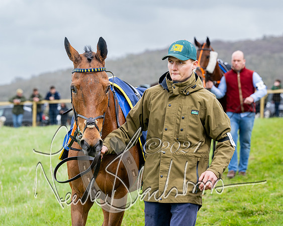 Race 3 - Jockey club ROR Veteran Horse Condidtions  (17 of 118)