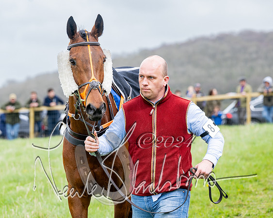 Race 3 - Jockey club ROR Veteran Horse Condidtions  (20 of 118)