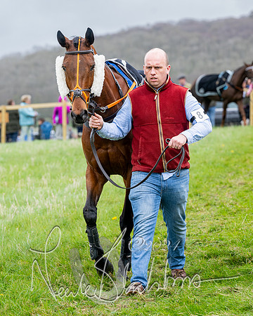 Race 3 - Jockey club ROR Veteran Horse Condidtions  (19 of 118)