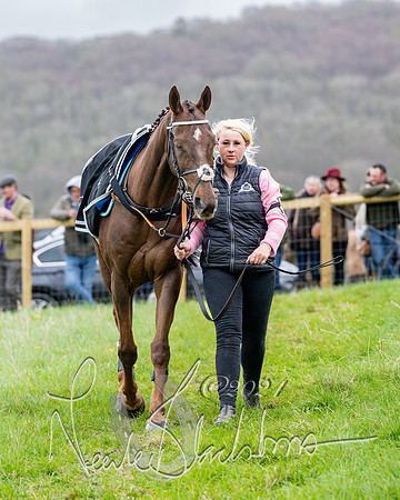 Race 3 - Jockey club ROR Veteran Horse Condidtions  (22 of 118)