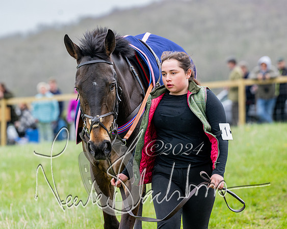 Race 3 - Jockey club ROR Veteran Horse Condidtions  (27 of 118)