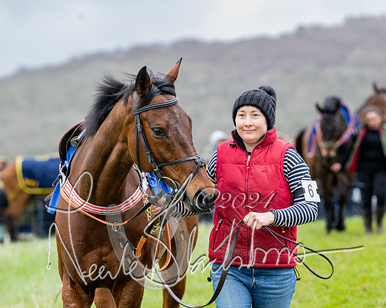 Race 3 - Jockey club ROR Veteran Horse Condidtions  (26 of 118)