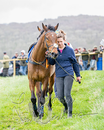 Race 3 - Jockey club ROR Veteran Horse Condidtions  (28 of 118)