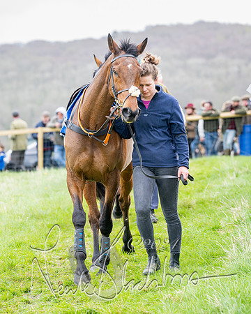Race 3 - Jockey club ROR Veteran Horse Condidtions  (29 of 118)