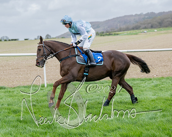 Race 3 - Jockey club ROR Veteran Horse Condidtions  (35 of 118)