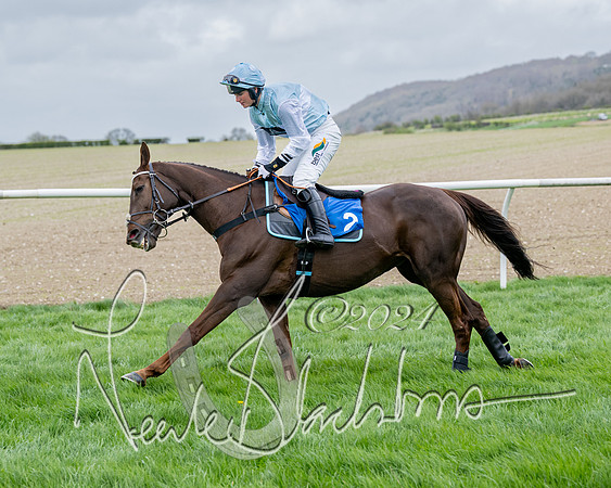Race 3 - Jockey club ROR Veteran Horse Condidtions  (36 of 118)