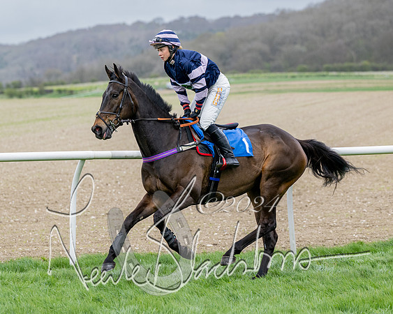 Race 3 - Jockey club ROR Veteran Horse Condidtions  (37 of 118)