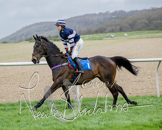 Race 3 - Jockey club ROR Veteran Horse Condidtions  (38 of 118)