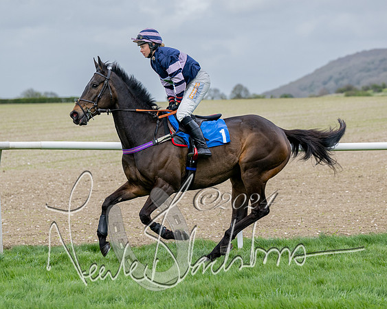 Race 3 - Jockey club ROR Veteran Horse Condidtions  (39 of 118)