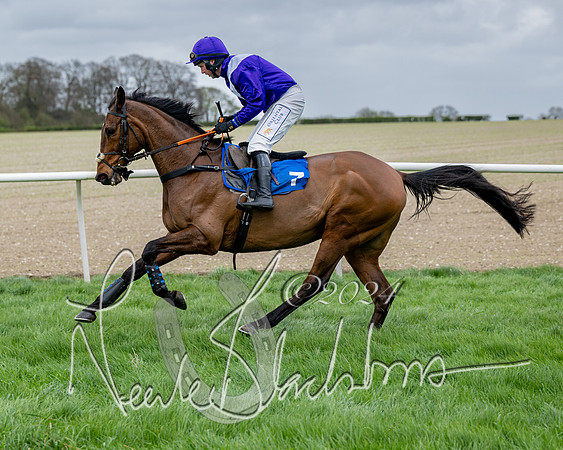 Race 3 - Jockey club ROR Veteran Horse Condidtions  (40 of 118)