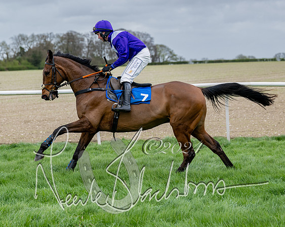 Race 3 - Jockey club ROR Veteran Horse Condidtions  (41 of 118)