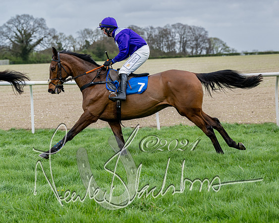 Race 3 - Jockey club ROR Veteran Horse Condidtions  (42 of 118)