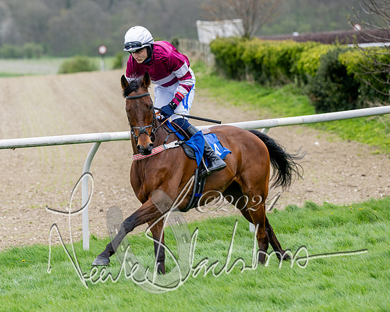 Race 3 - Jockey club ROR Veteran Horse Condidtions  (44 of 118)