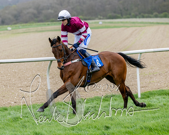 Race 3 - Jockey club ROR Veteran Horse Condidtions  (45 of 118)