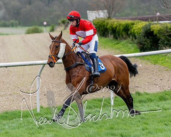 Race 3 - Jockey club ROR Veteran Horse Condidtions  (46 of 118)