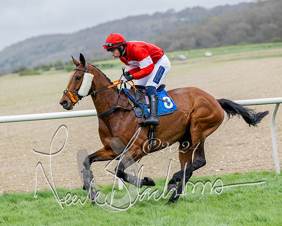 Race 3 - Jockey club ROR Veteran Horse Condidtions  (47 of 118)