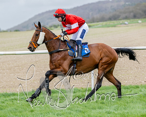 Race 3 - Jockey club ROR Veteran Horse Condidtions  (48 of 118)