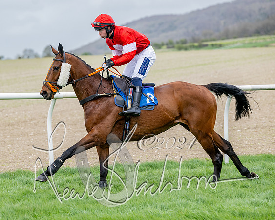 Race 3 - Jockey club ROR Veteran Horse Condidtions  (49 of 118)