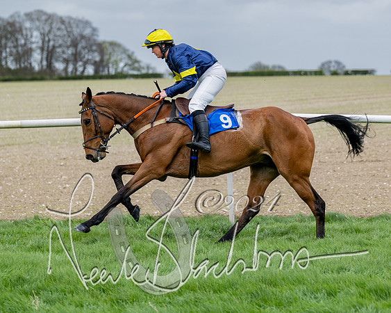 Race 3 - Jockey club ROR Veteran Horse Condidtions  (50 of 118)