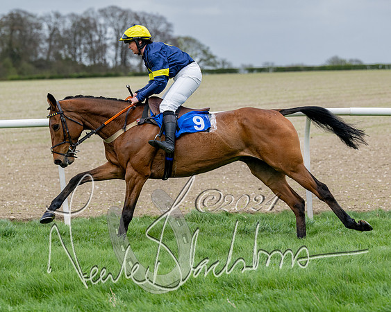 Race 3 - Jockey club ROR Veteran Horse Condidtions  (51 of 118)