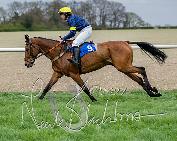 Race 3 - Jockey club ROR Veteran Horse Condidtions  (52 of 118)