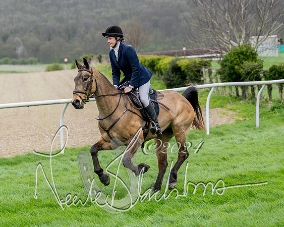 Race 3 - Jockey club ROR Veteran Horse Condidtions  (53 of 118)