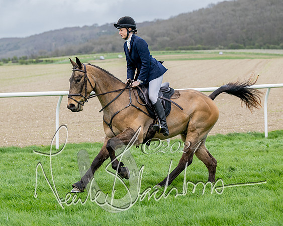 Race 3 - Jockey club ROR Veteran Horse Condidtions  (55 of 118)