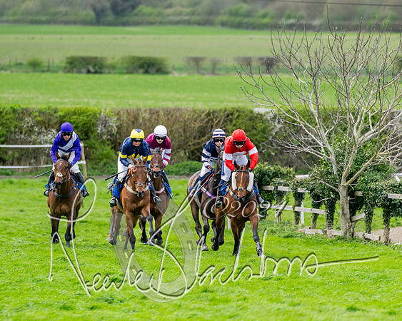 Race 3 - Jockey club ROR Veteran Horse Condidtions  (56 of 118)