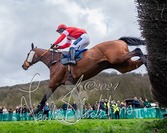 Race 3 - Jockey club ROR Veteran Horse Condidtions  (59 of 118)