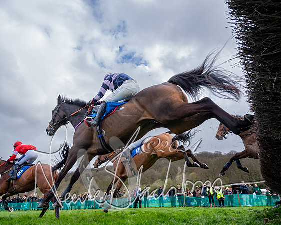 Race 3 - Jockey club ROR Veteran Horse Condidtions  (62 of 118)