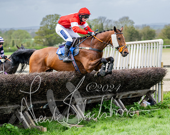 Race 3 - Jockey club ROR Veteran Horse Condidtions  (64 of 118)
