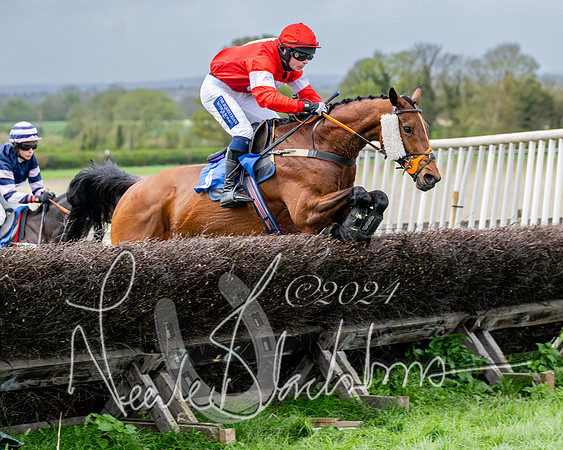 Race 3 - Jockey club ROR Veteran Horse Condidtions  (63 of 118)