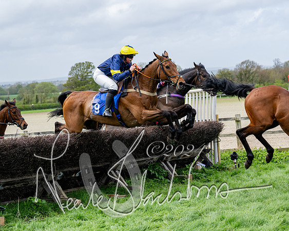 Race 3 - Jockey club ROR Veteran Horse Condidtions  (69 of 118)