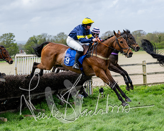 Race 3 - Jockey club ROR Veteran Horse Condidtions  (72 of 118)
