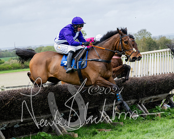 Race 3 - Jockey club ROR Veteran Horse Condidtions  (73 of 118)