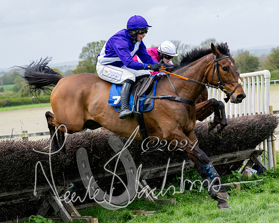Race 3 - Jockey club ROR Veteran Horse Condidtions  (74 of 118)