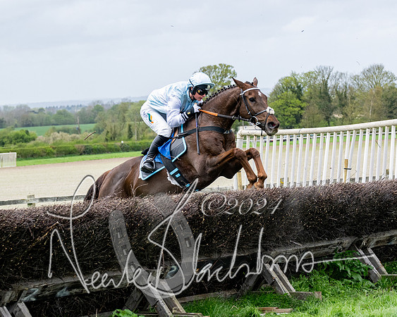 Race 3 - Jockey club ROR Veteran Horse Condidtions  (75 of 118)