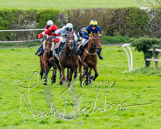 Race 3 - Jockey club ROR Veteran Horse Condidtions  (78 of 118)
