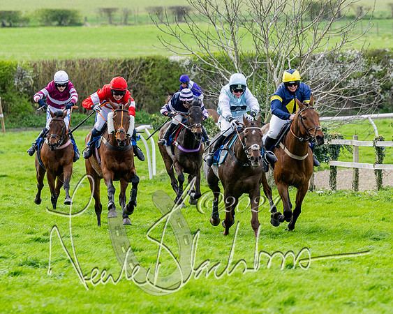 Race 3 - Jockey club ROR Veteran Horse Condidtions  (80 of 118)