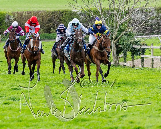 Race 3 - Jockey club ROR Veteran Horse Condidtions  (79 of 118)
