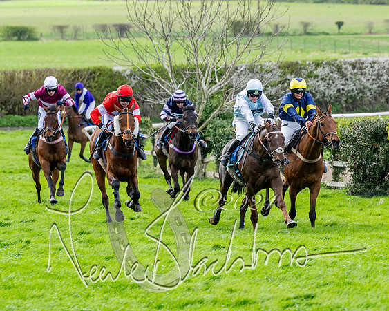 Race 3 - Jockey club ROR Veteran Horse Condidtions  (81 of 118)