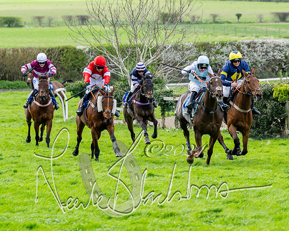 Race 3 - Jockey club ROR Veteran Horse Condidtions  (82 of 118)