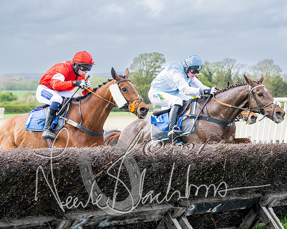 Race 3 - Jockey club ROR Veteran Horse Condidtions  (83 of 118)